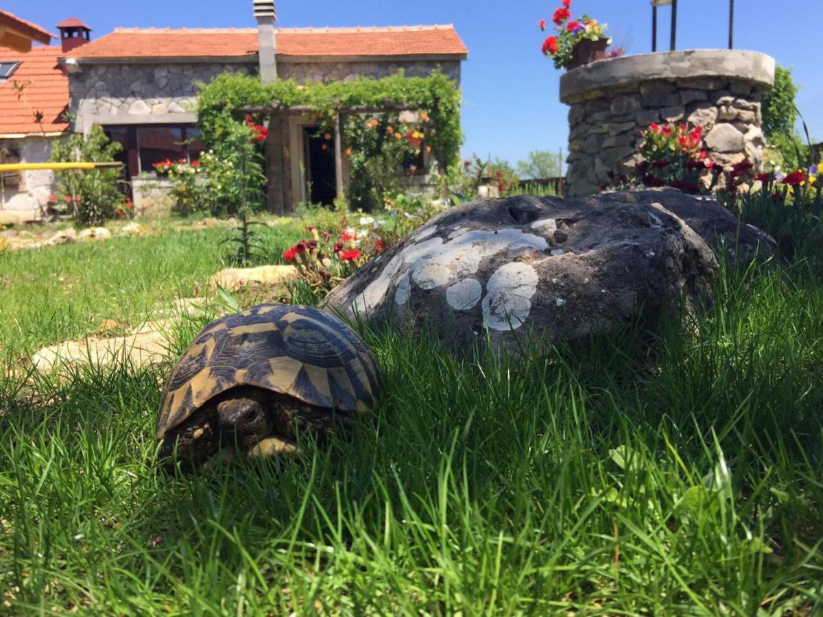 Kuca Za Odmor Joko I Jeka Villa Bogatić Buitenkant foto